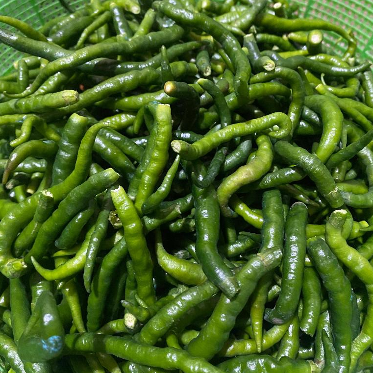 

Cabe Ijo Kriting 500gr/ 1kg Tangkai sudah Petik & tangkai belum Petik