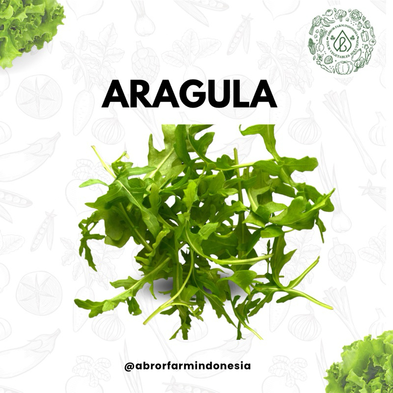 

Aragula