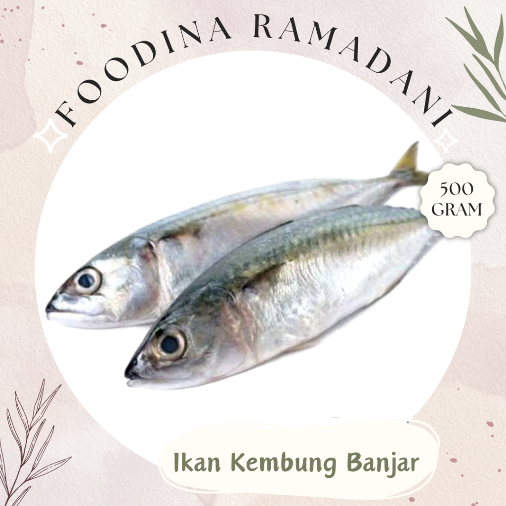 

IKAN KEMBUNG Banjar - Mackerel Fish Fresh [ Berat 500gr ] Harga Per KG