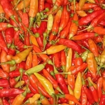 

CABE RAWIT SEGAR (100gr, 250gr)