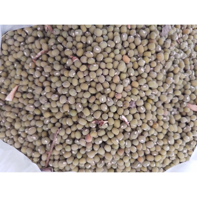 

Kacang Hijau Lokal 1 kg