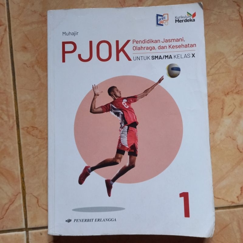 Buku PJOK kelas 10 / X kurikulum merdeka Erlangga