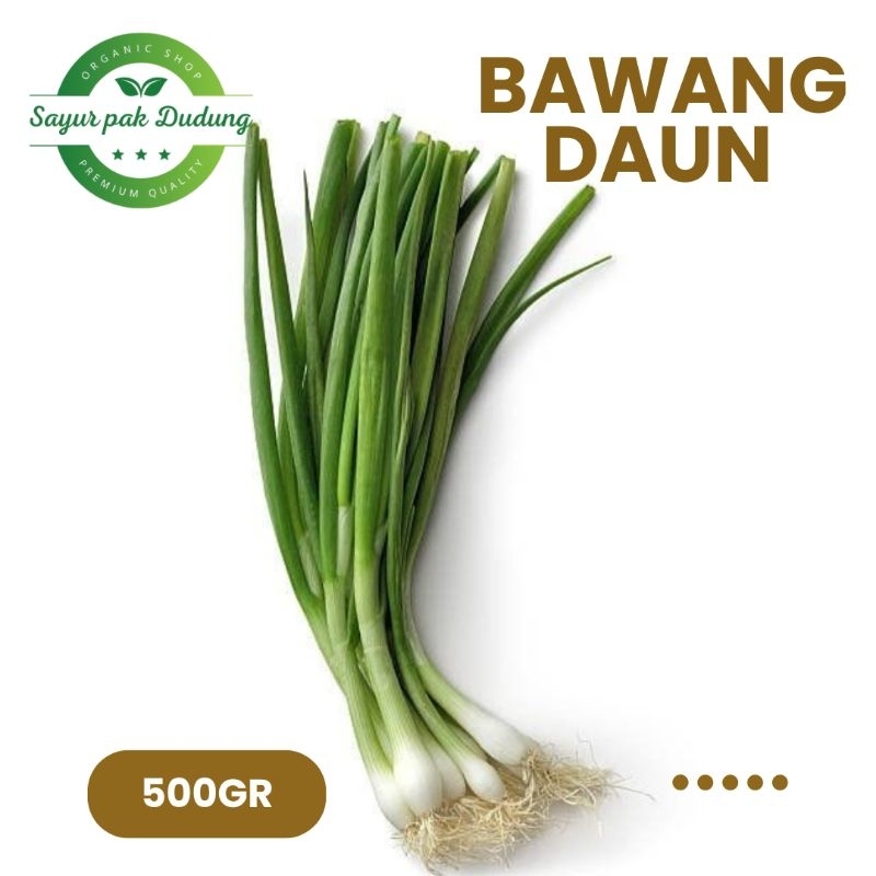 

bawang daun fresh 500gr