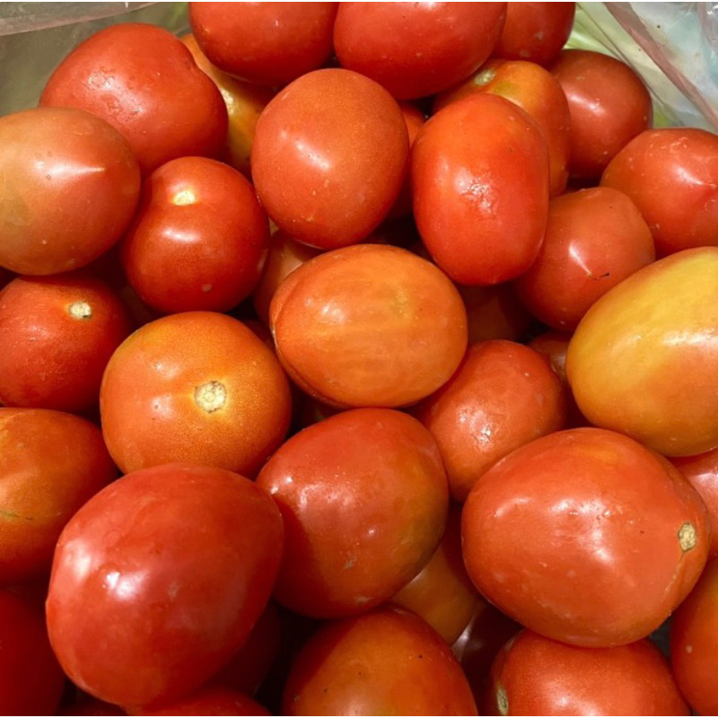 

Tomat / tomat merah