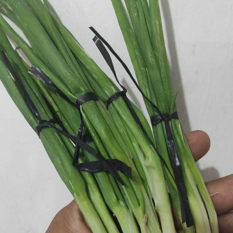 

daun bawang kecil pasar online makassar