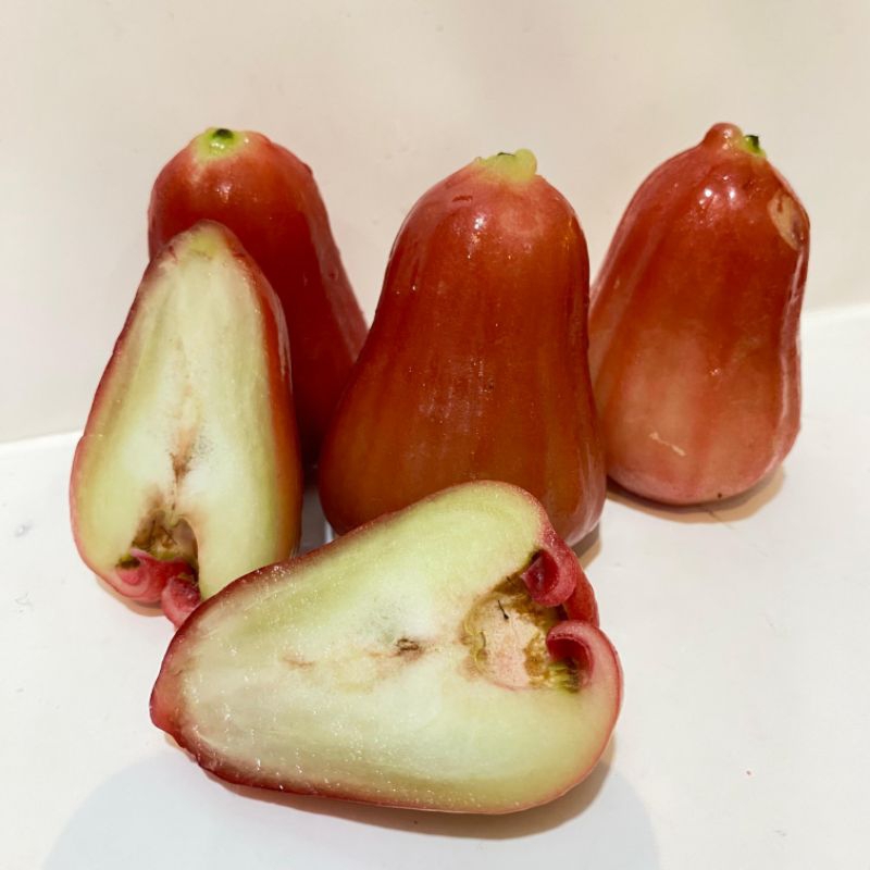 

Jambu Citra 1kg