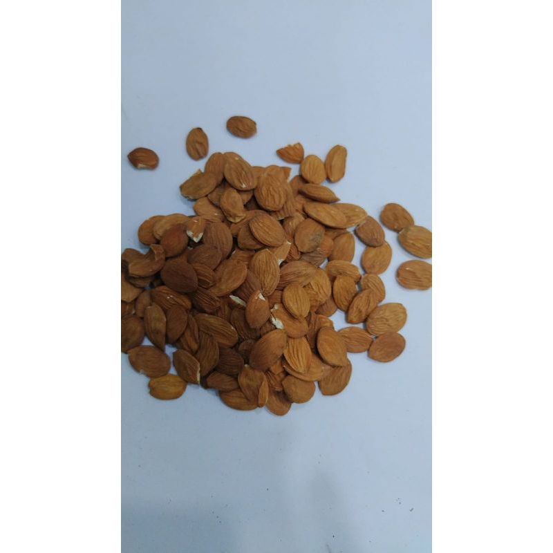 

10 G 50 GR 100 GRAM 皮扁桃仁 PI BIAN TAO REN PEACH KERNEL SEED