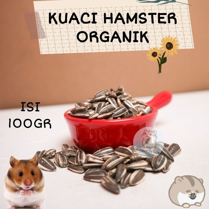 Makanan Snack KUACI KWACI HAMSTER hamsfood 100 GRAM REPACK sun flower Import Biji Bunga Matahari
