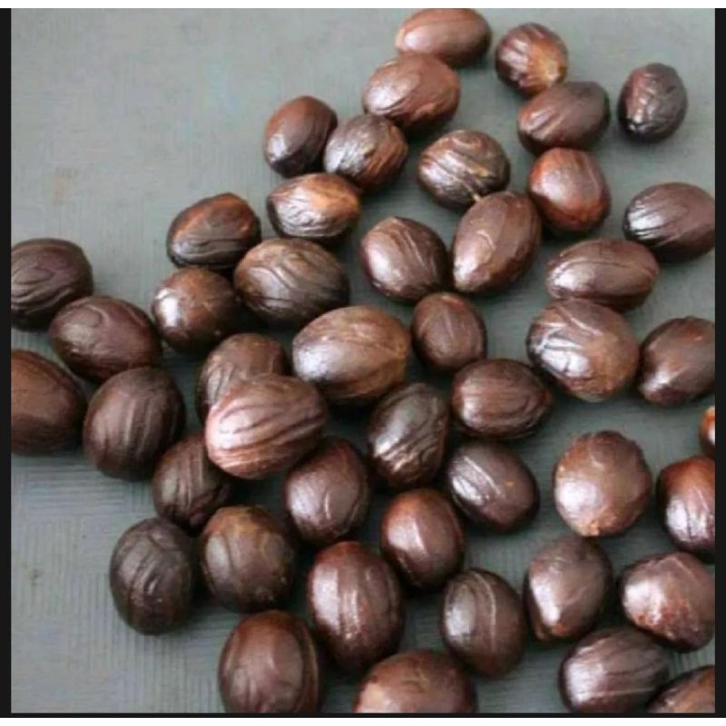 

250 Gram Biji Buah Pala Kering Best Quality Export