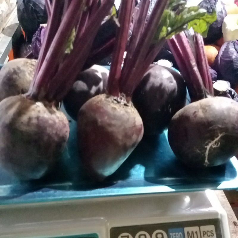 

buah bit murah 500gr