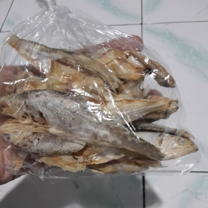 

ikan trasak