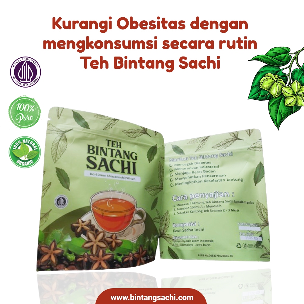 

Jual Herbal Penurun Berat Badan Teh Bintang Sachi