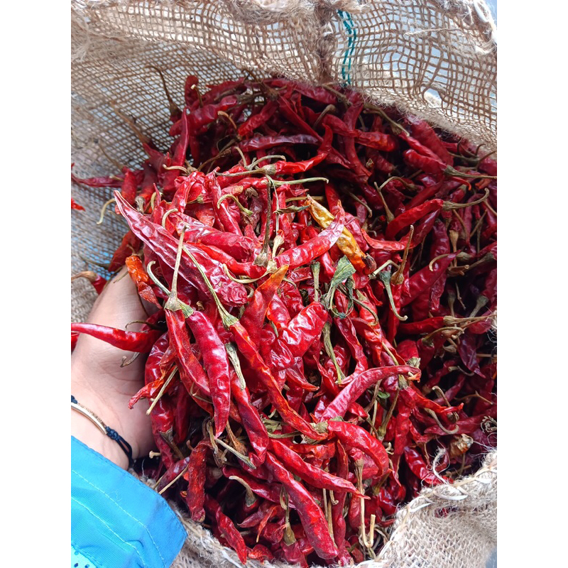 

Cabe Kering Teja Tangkai