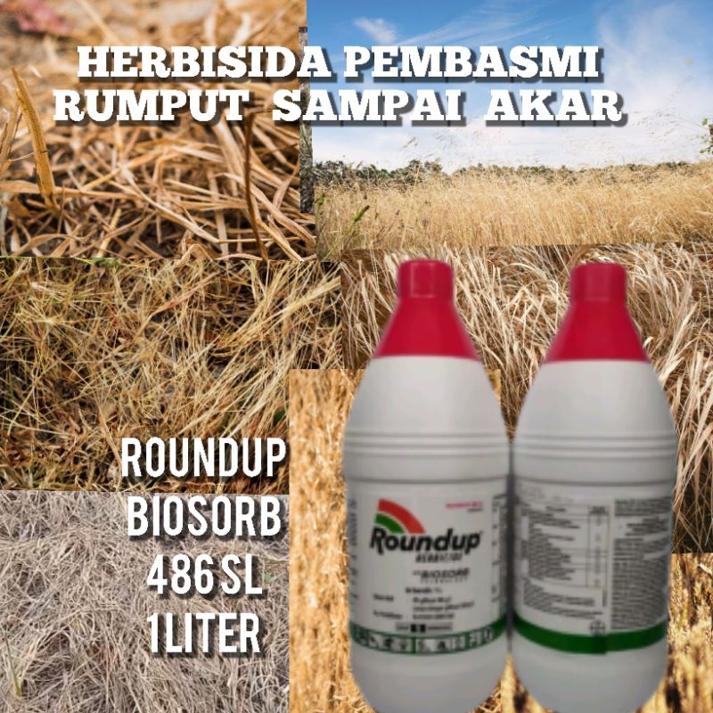 ROUNDUP PEMBASMI RUMPUT . ROUNDUP BIOSORB 486SL PEMBASMI RUMPUT LIAR / RACUN RUMPUT / ROUNDUP 1KG