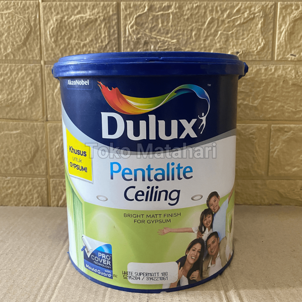 Cat Plafon Gypsum Dulux Pentalite Ceiling 25 kg