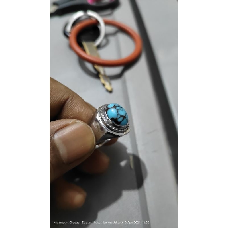 Pirus Persia ceplok kuro