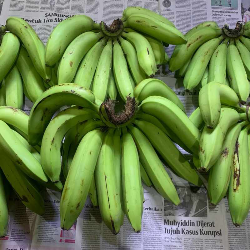 

[NERAFARM] PISANG CAVENDISH SUNPRIDE 5KG
