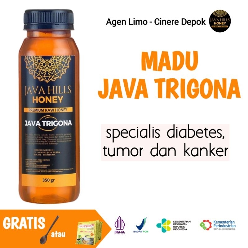 

Madu Java Trigona Javahills Mumtaz herba Madu Asli kemasan 330 gr