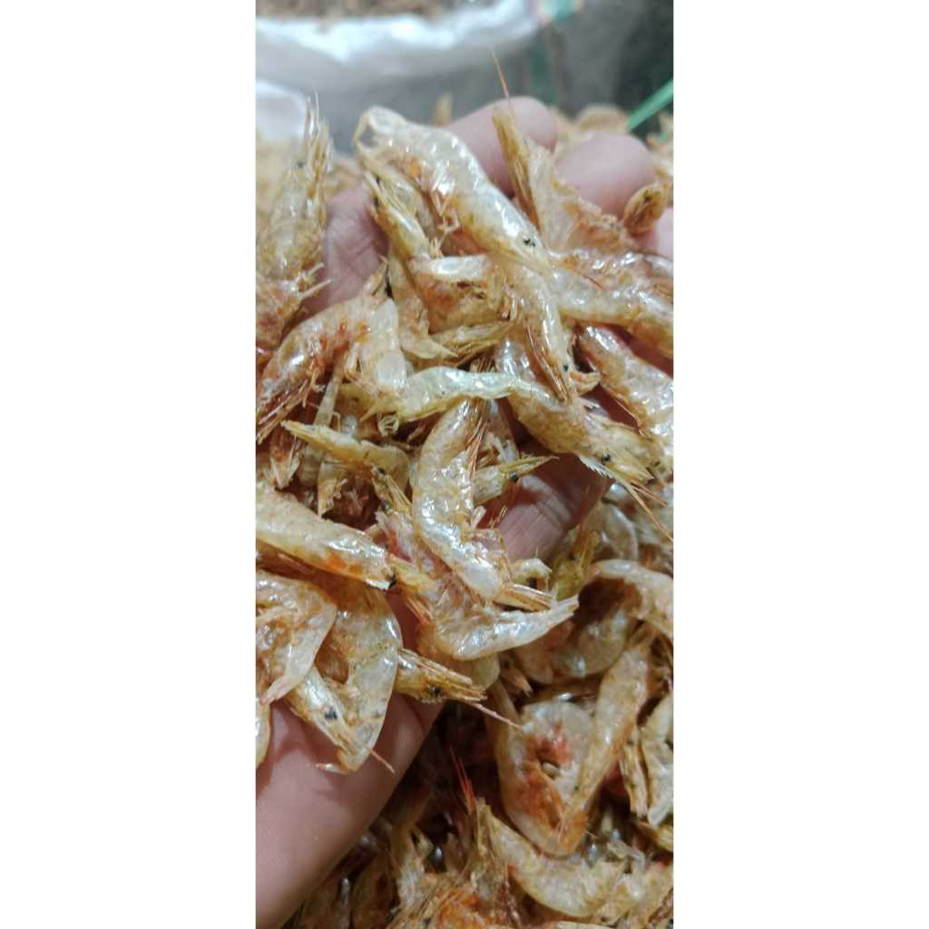 

Udang Ebi Tawar Kemasan 1Kg Nikmati Kelezatannya