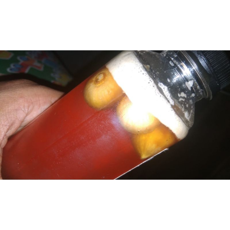 

madu bawang Lanang 1kg