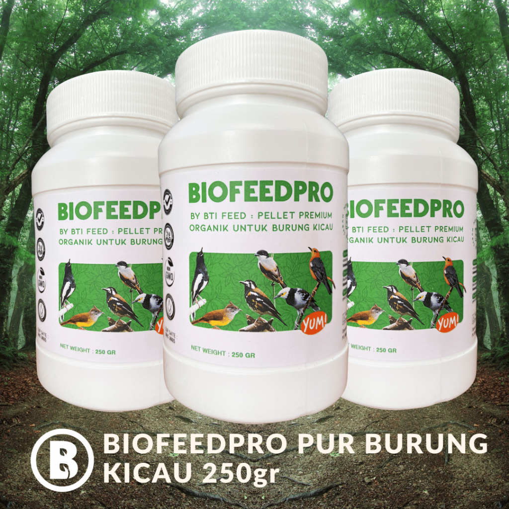 [3 Pcs] Pur Harian Premium 250gr Untuk Burung Kicau: Anis Merah - Anis Kembang - Jalak - Pentet - Ka