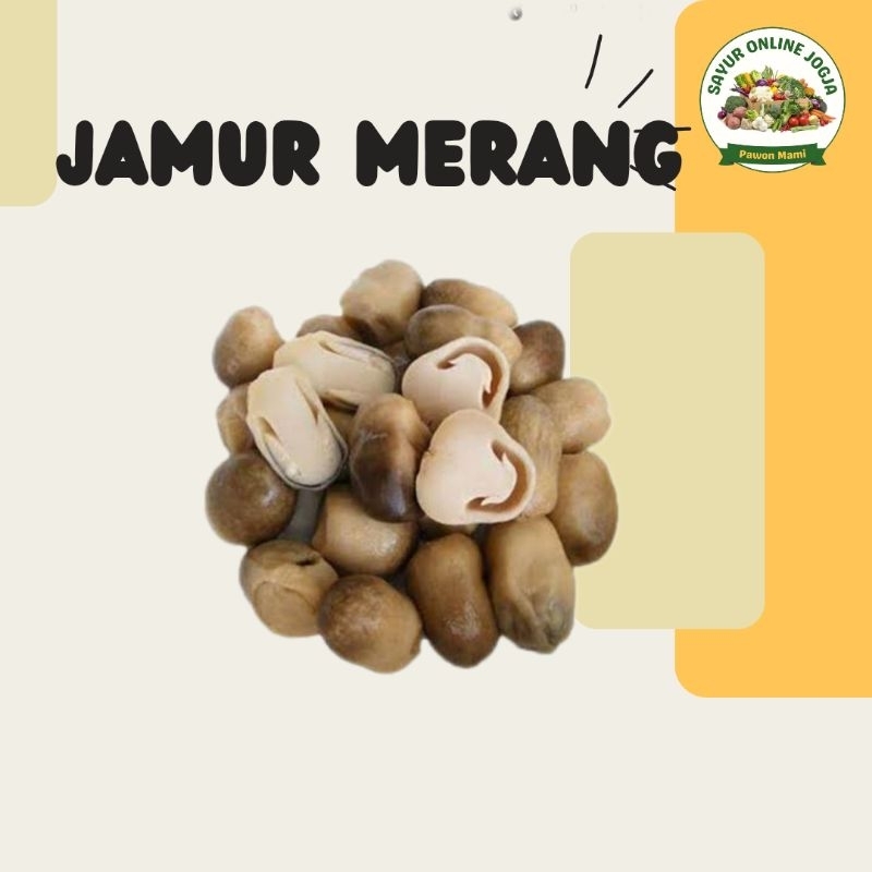 

Jamur merang 100gr - PAWON MAMI SAYUR ONLINE JOGJA