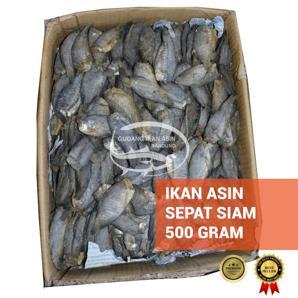 

Ikan Asin Sepat Siam 500 gr