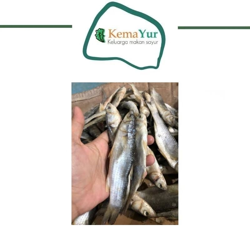 

IKAN ASIN PADET/DREJET KUALITAS SUPER MURAH 500GR