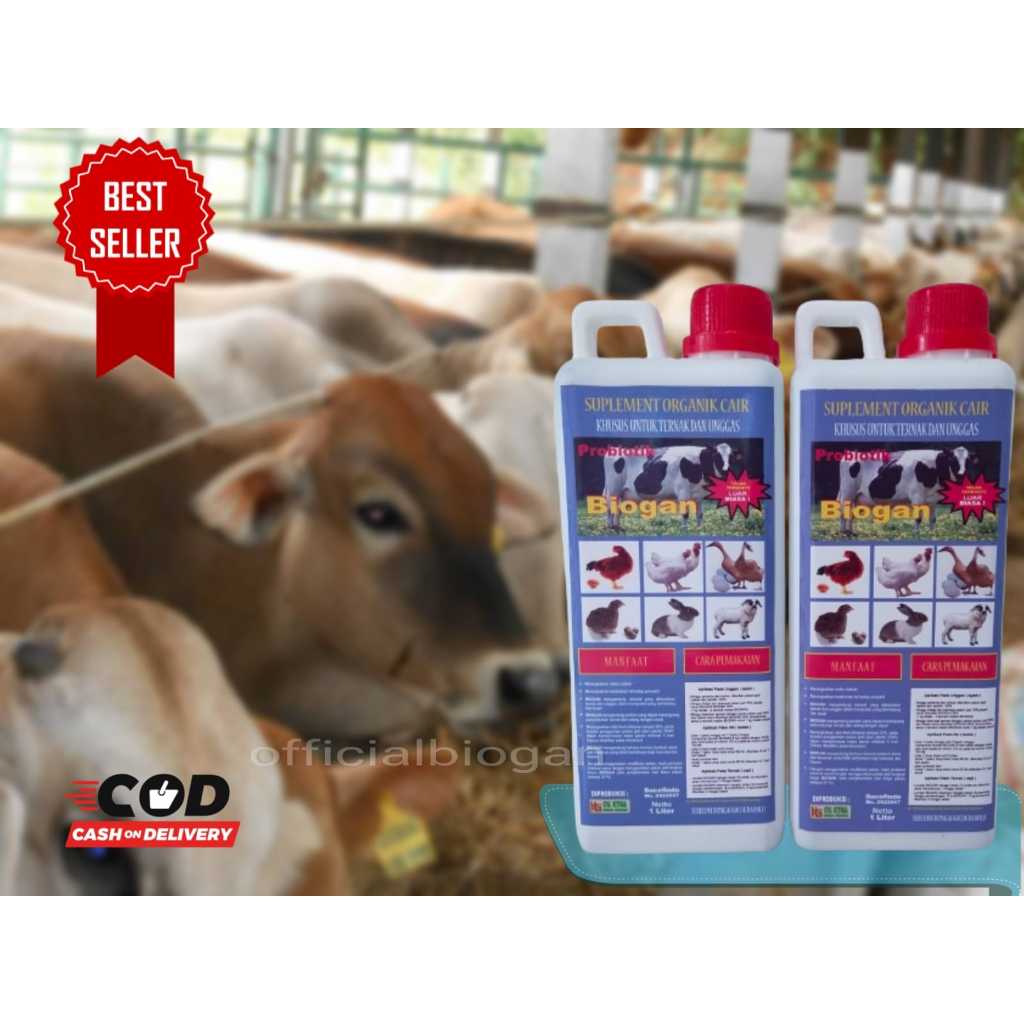 SUPLEMENT ORGANIK CAIR (SOC) BIOGAN UNTUK TERNAK & UNGGAS