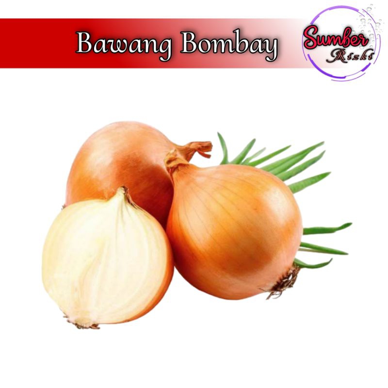 

Bawang Bombay Segar Ecer Kiloan