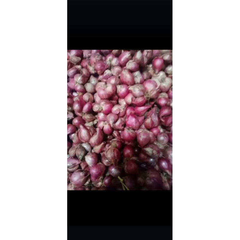 

bawang merah 1kg
