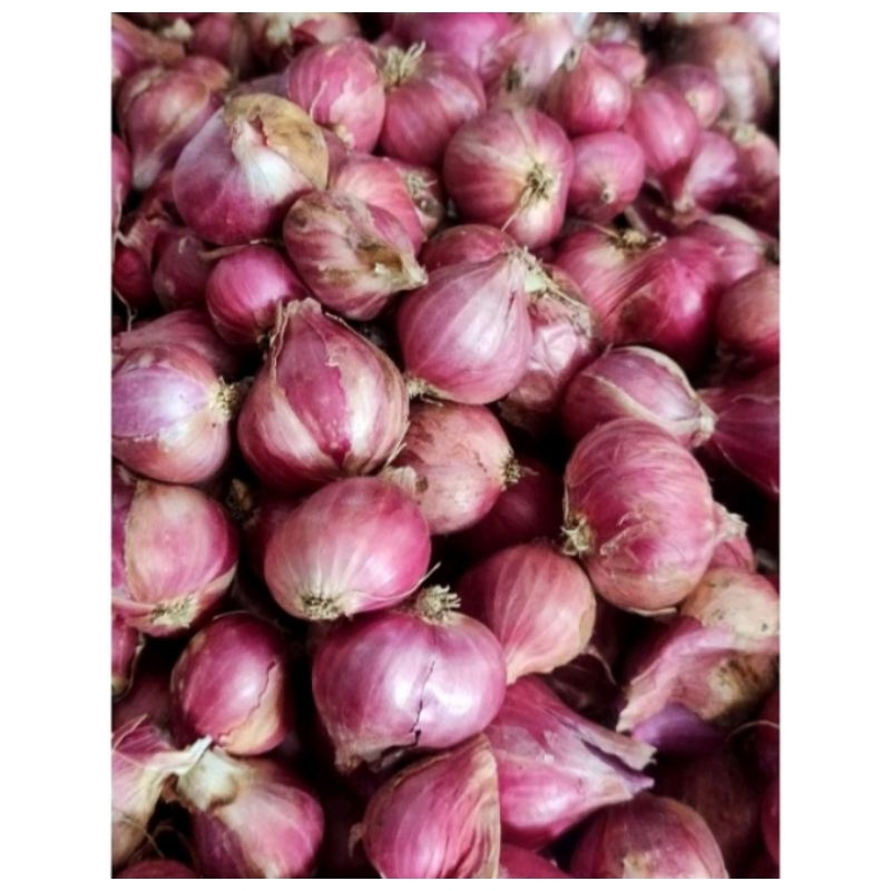 

bawang merah probolinggo 1kg
