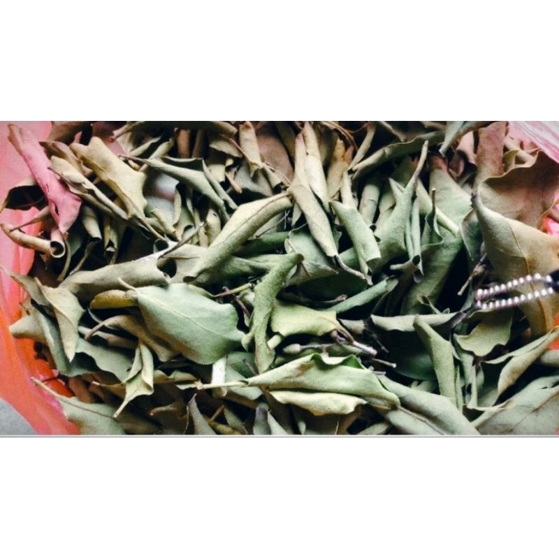 

benalu kelor asli kering 100℅ kering original (paket 1 kg)