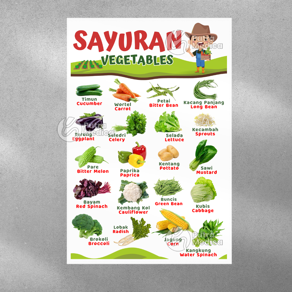 Poster Mengenal Sayuran A3+ / Gambar Edukasi Anak / Belajar Sayur Bahasa Indonesia dan Inggris