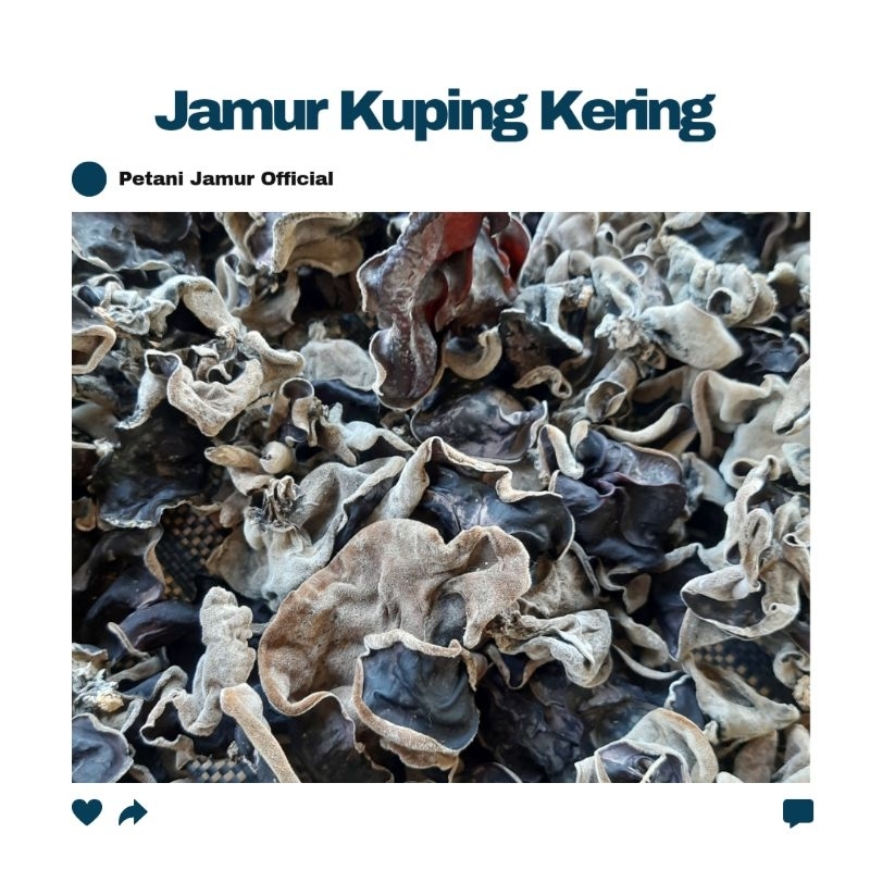 

JAMUR KUPING KERING HITAM GRADE A SUPER 1KG