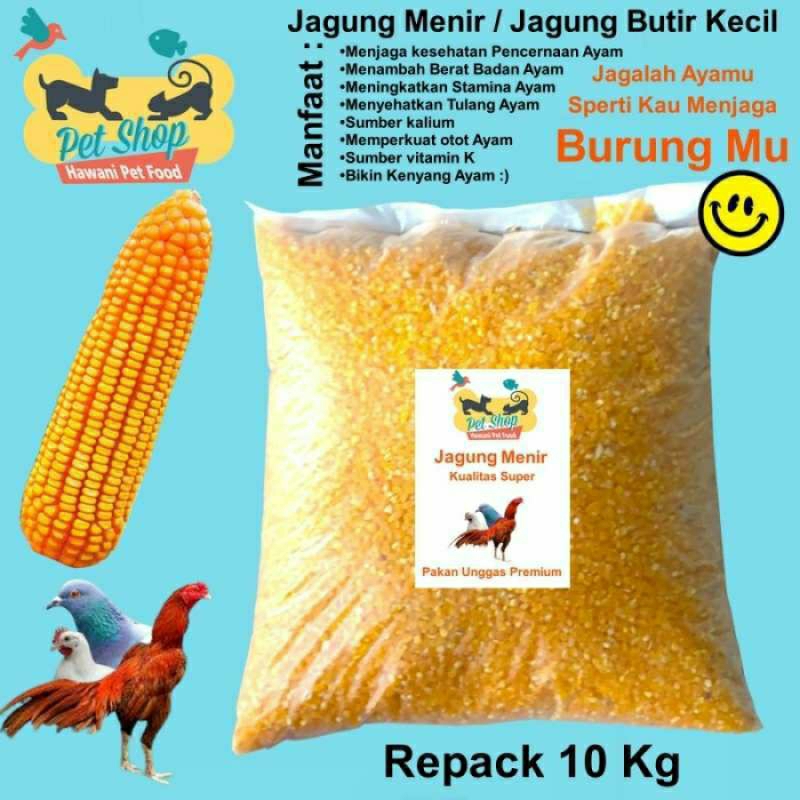 

promo 1kg jagung pakan ternak unggulan