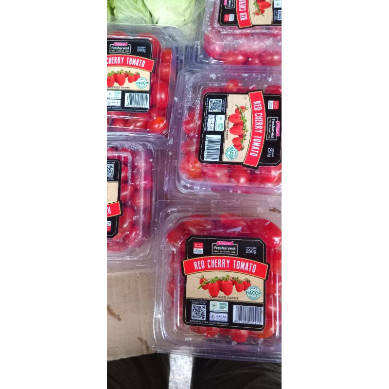 

tomat cherry pack 250gram