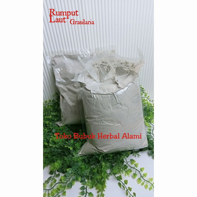 

TepungRumputLautGracilaria250Gram
