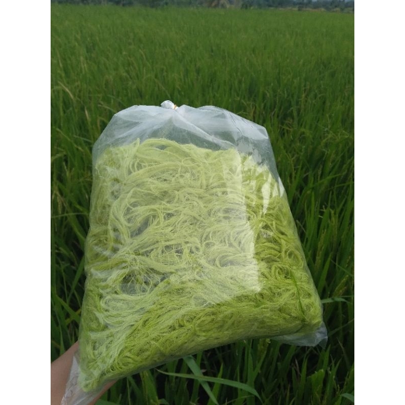 

Rambut nenek kiloan berat 1000 gram