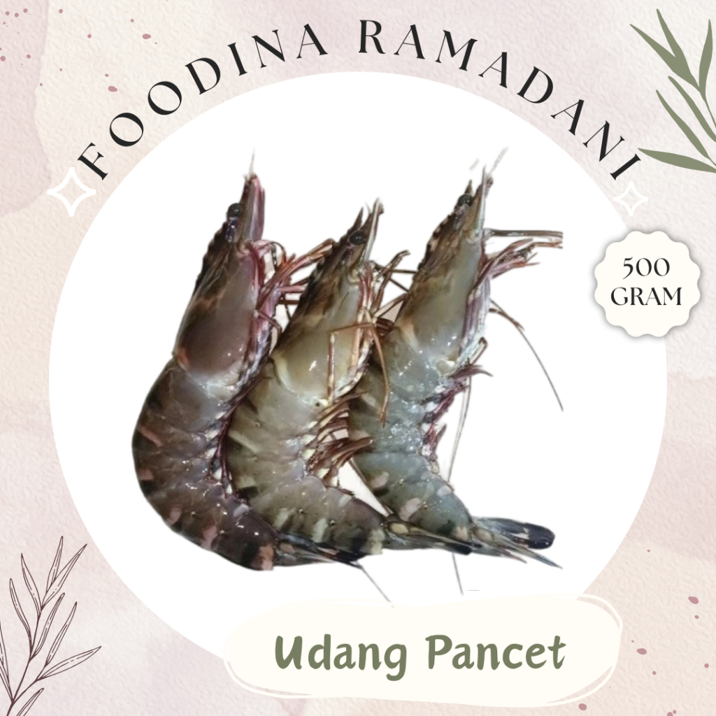 

UDANG PANCET Windu - Shrimp Fresh [ Size S - Berat 500gr ] Harga Per 0,5 Kg