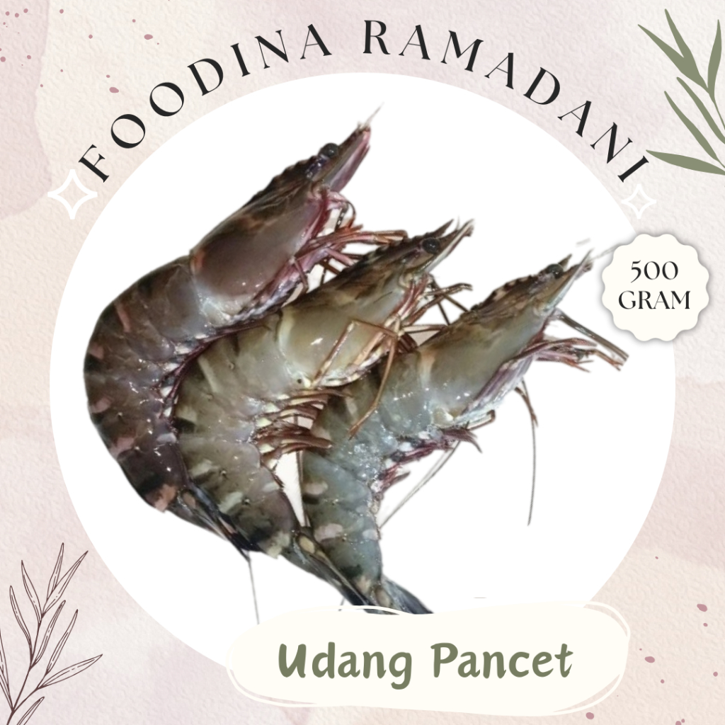 

UDANG PANCET Windu - Shrimp Fresh [ Size M/L - Berat 500gr ] Harga Per 0,5 Kg