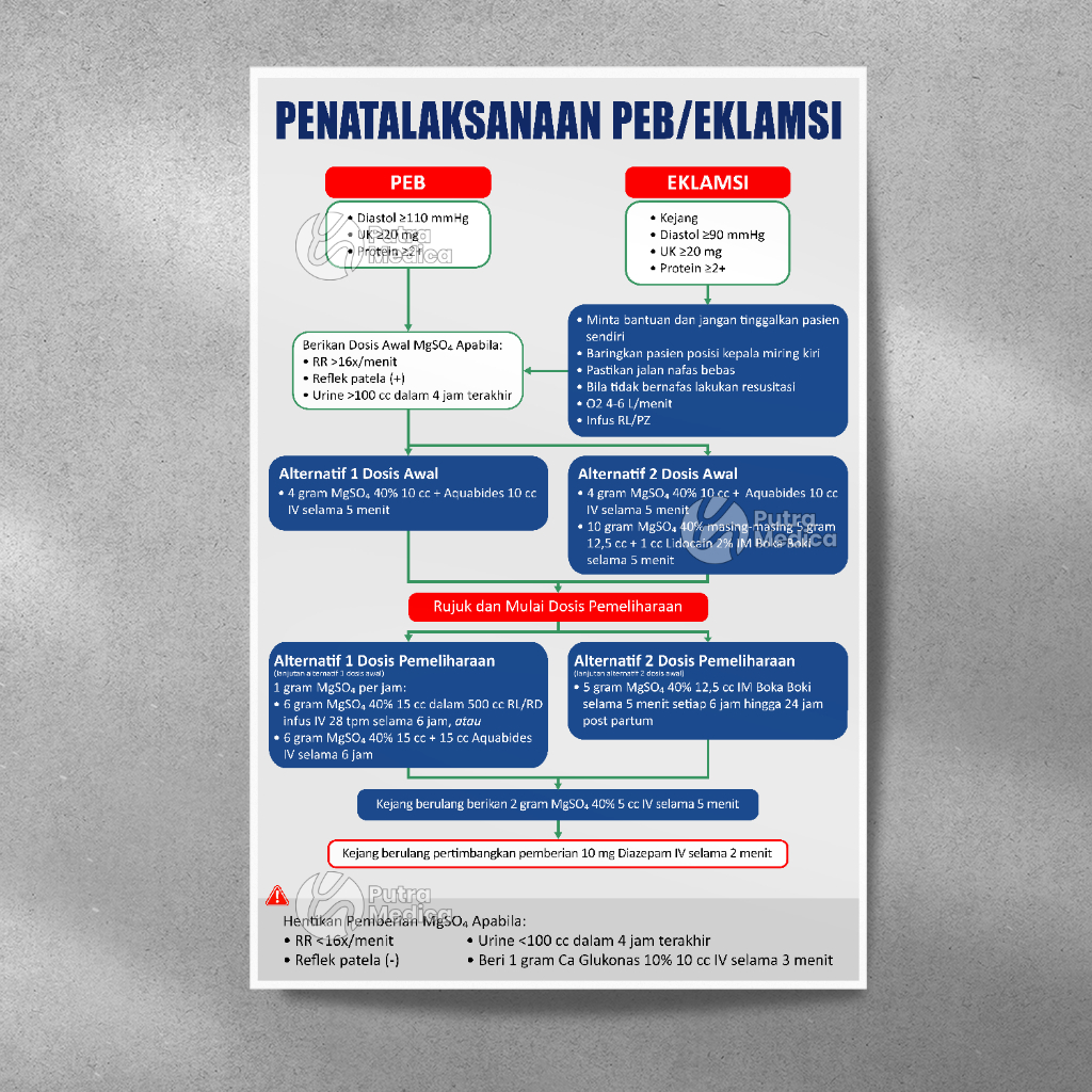 Poster Kesehatan Penatalaksanaan PEB Eklamsi A3+ / Gambar Edukasi Kebidanan Pre-Eklamsia Berat