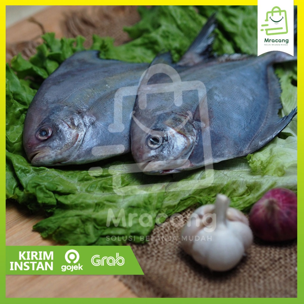 

Ikan Dorang Putih / Mracang Market
