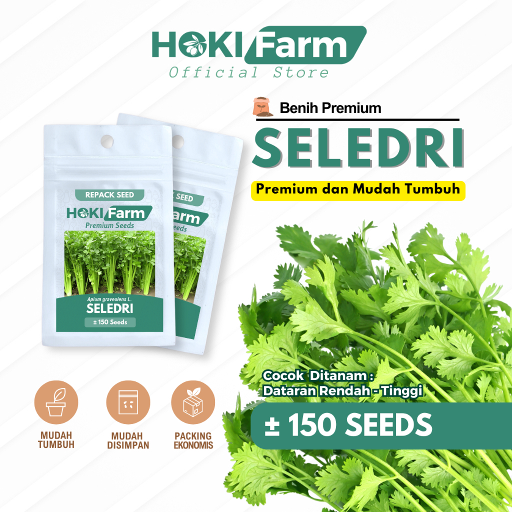 Benih Seledri Unggul Bibit Sayur Sayuran