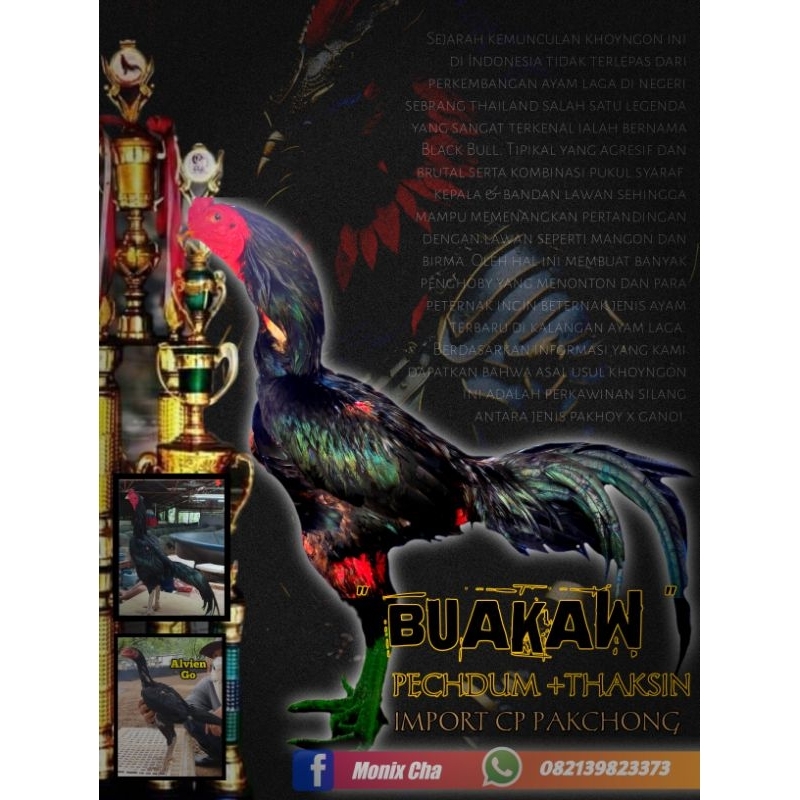 Boneka Doc Anakan Pakoy