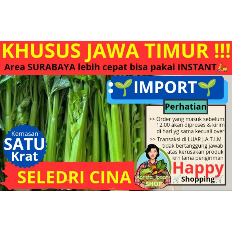 

JATIM ONLY - Seledri Fresh Import Cina 1Krat