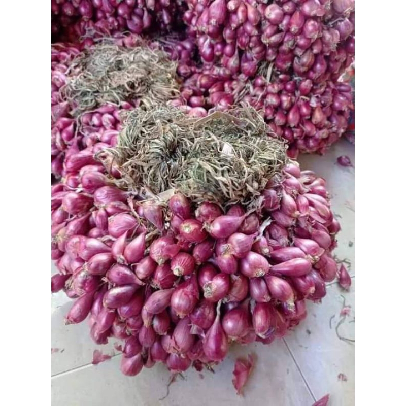

BAWANG MERAH 100% BREBES ASLI iket/daun