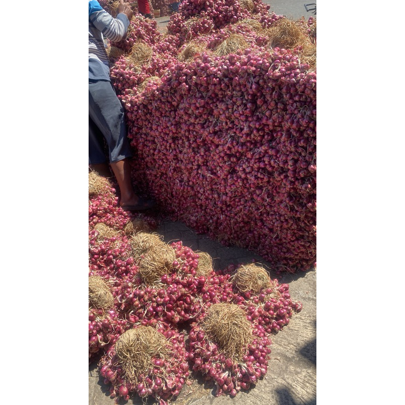 

Bawang Merah Probolinggo