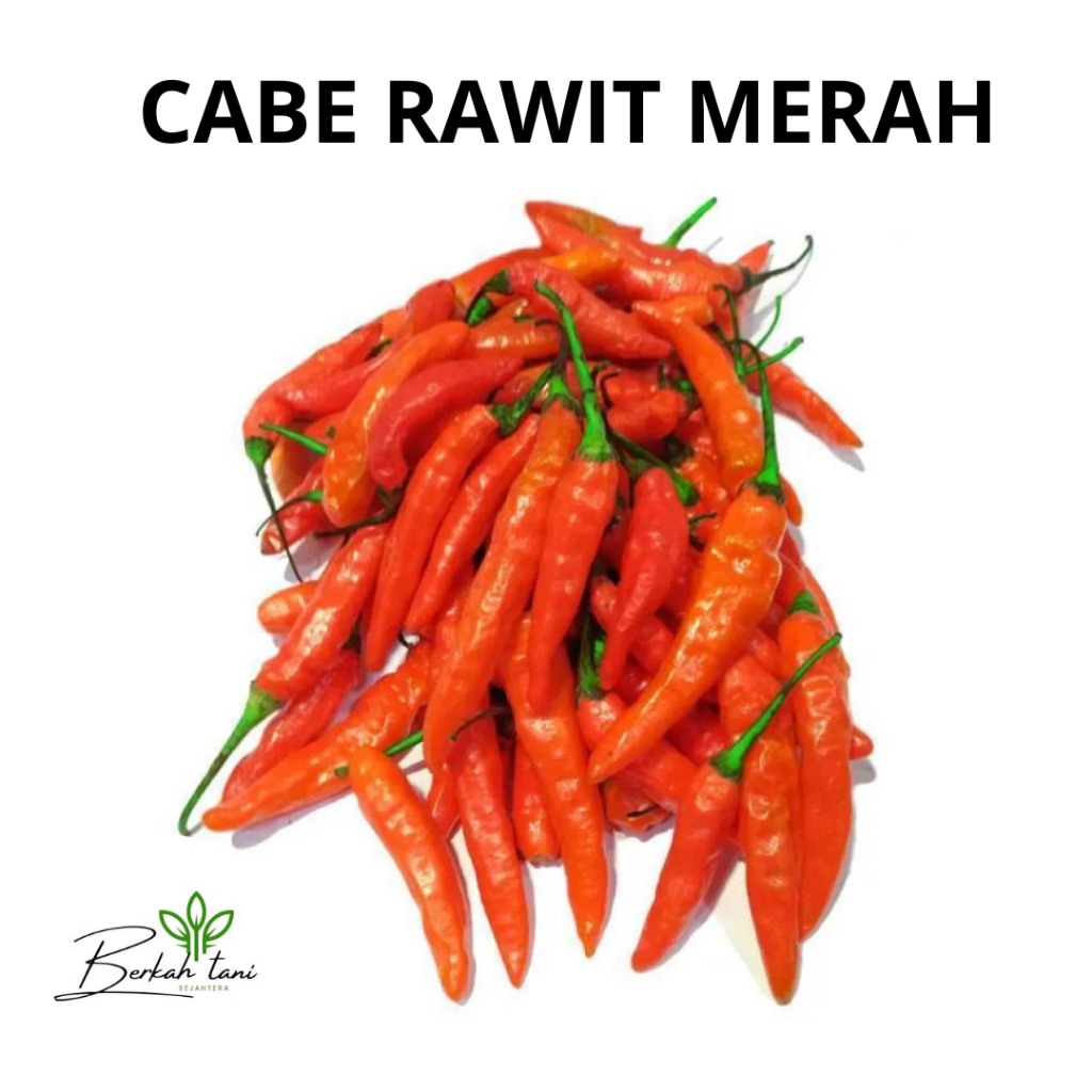

CABAI RAWIT MERAH 250 GRAM