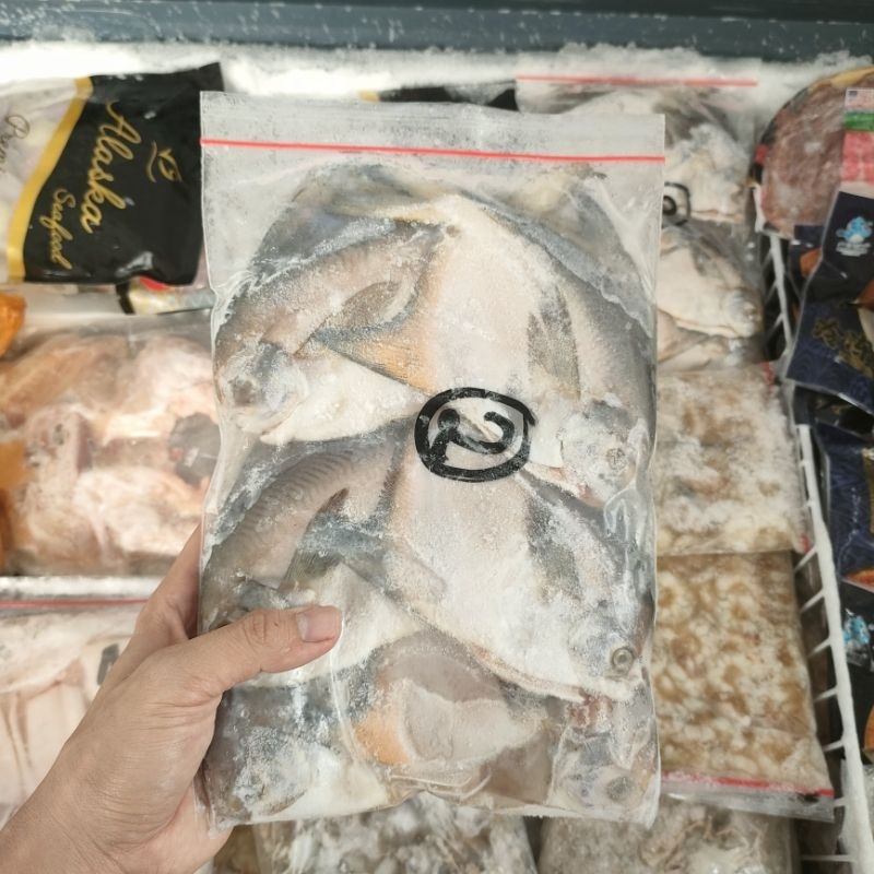 

Ikan Bawal Putih Size 2/ BP 2 (6-8ekor)kemasan 1kg